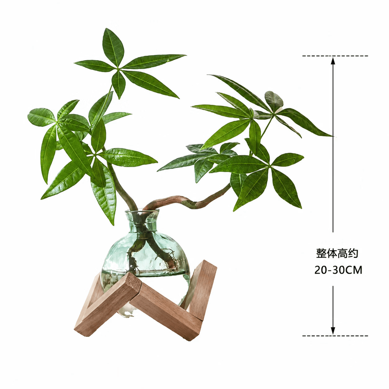 八芽双杆发财树轻奢小蓝瓶几何木架含盆 8.45元 - 86线报
