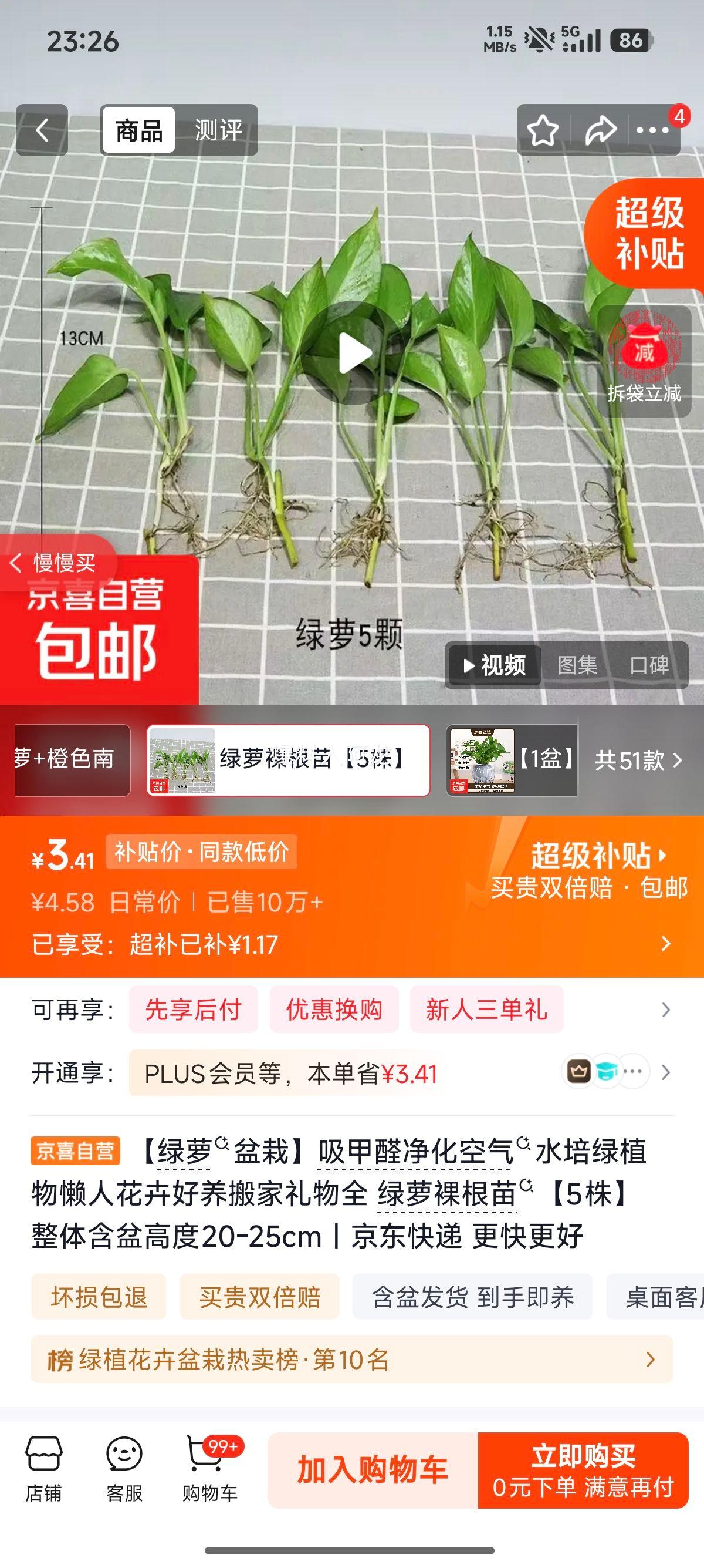 绿萝盆栽吸甲醛净化空气水培懒人植物5株裸根苗高度20-25cm 3.41元 - 线报酷