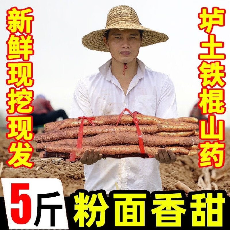 黄六爷垆土铁棍山药净重3斤 14.8元 - 86线报 黄六爷垆土铁棍山药净重3斤 14.8元 - 86线报