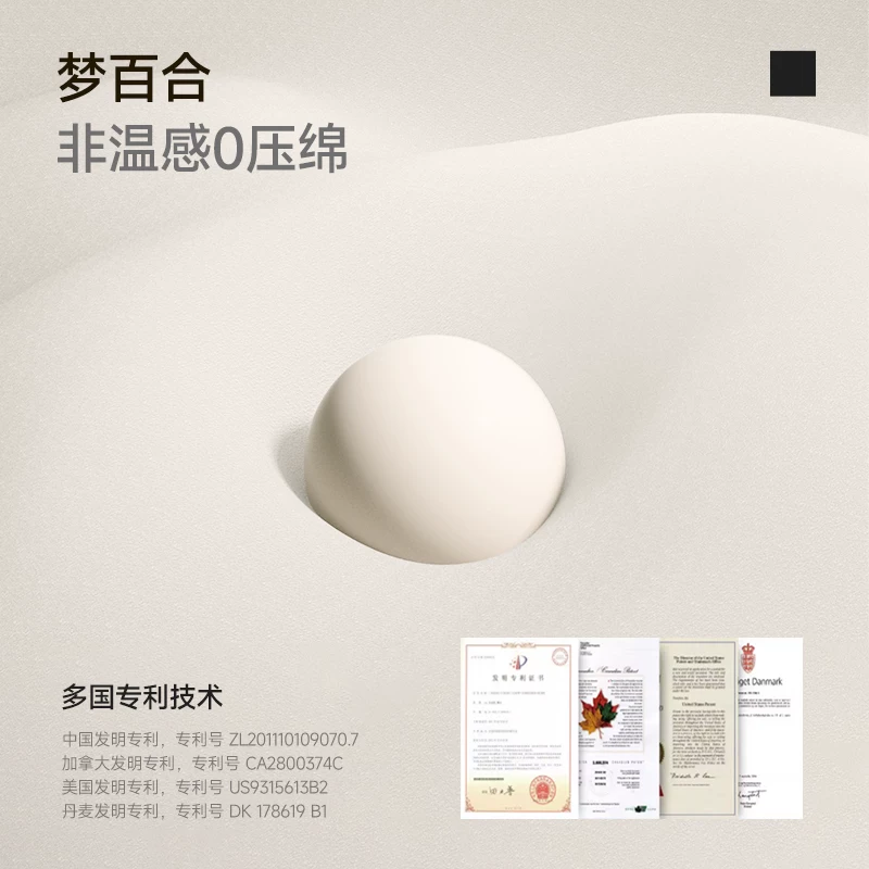 MLILY慢回弹记忆棉薄垫学生宿舍床垫单人儿童5可折叠榻榻米 396.34元 - 线报酷