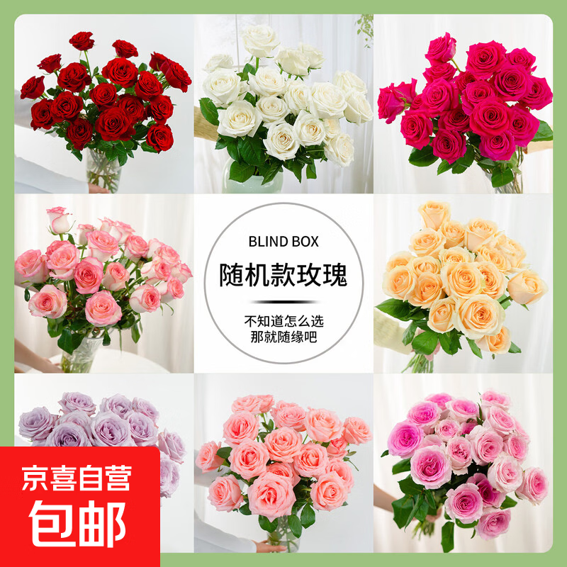 花匠铺无土栽培40-45CM随机色玫瑰花10枝 9.9元 - 86线报