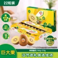 限移动端、京东百亿补贴：佳沛 阳光金果 巨大果 单果146-174g 22个 券后159元 图片 1