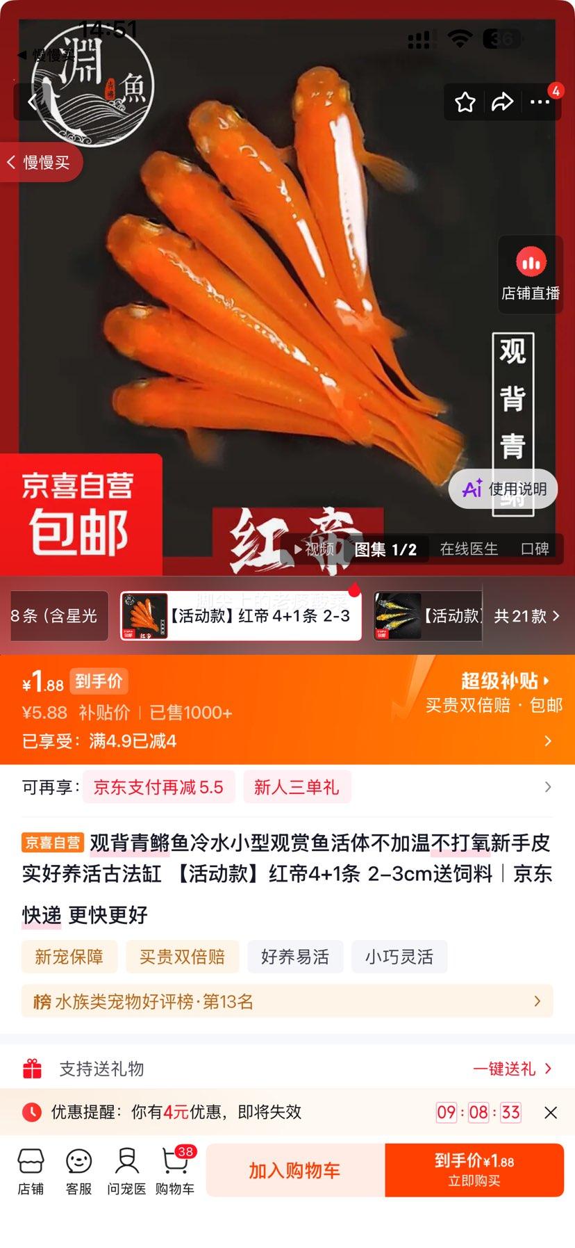 观背青鳉鱼活体2-3cm红帝4+1条送饲料 1.88元 - 86线报