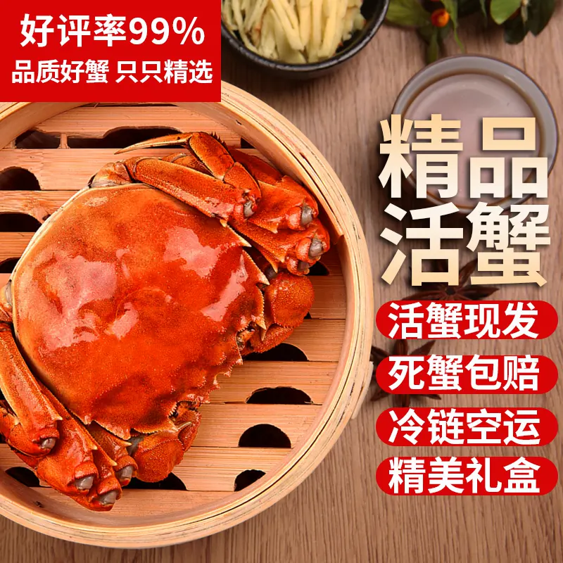 蟹鸿祚6只鲜活大闸蟹全母蟹螃蟹含绳现货湖蟹送礼精品红膏母蟹 69.9元 - 线报酷
