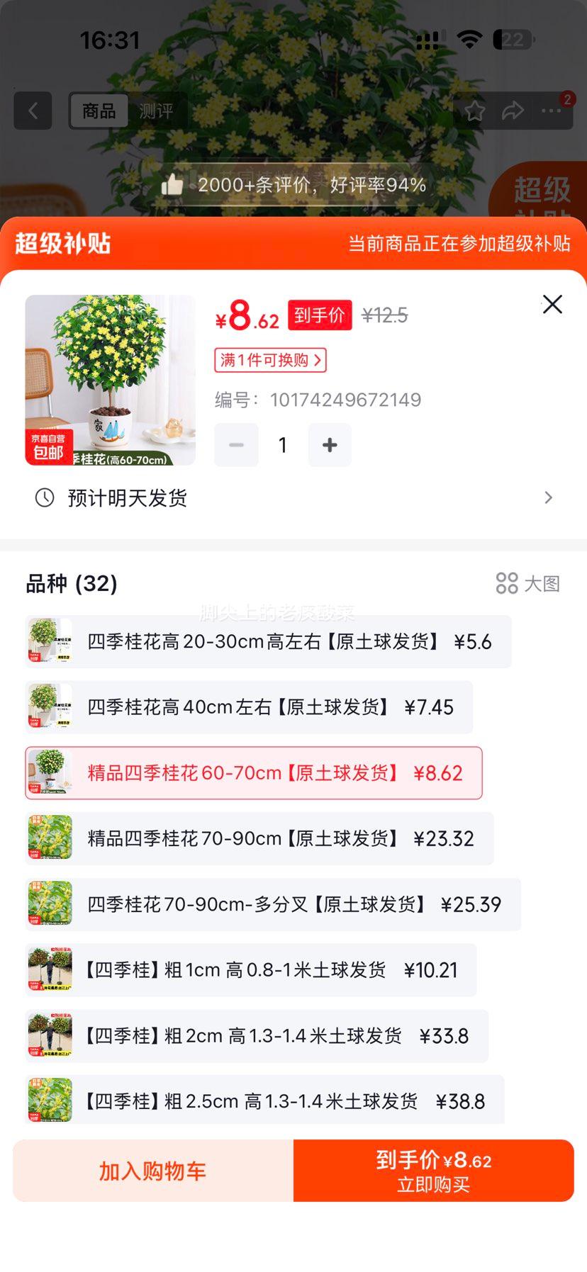 四季桂花卉盆栽60-70cm原土球发货 8.62元 - 86线报