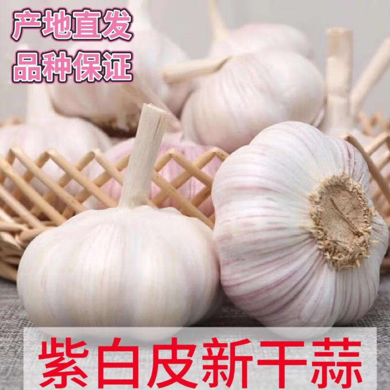 京喜紫白皮蒜水果大蒜超市即食生鲜蔬菜大蒜3头50g单果3.5-5cm 1.01元 - 86线报