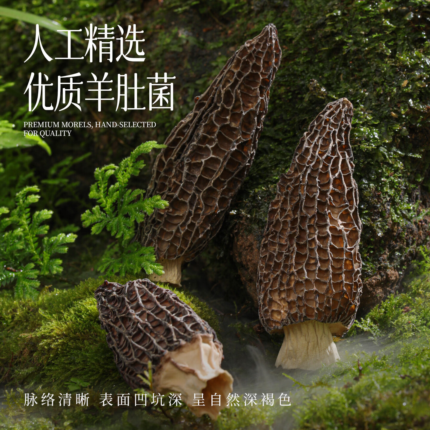 湖心泉云南去柄羊肚菌120g/袋 19.9元 - 86线报