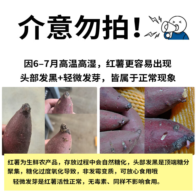 佳农宝菜山东沙地西瓜红蜜薯单果100g+净重4.5斤源头直发 19.89元 - 86线报