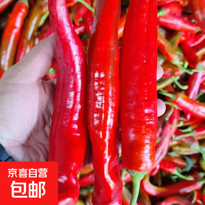 寿光红尖椒新鲜当季红辣椒微辣2斤净重1.8斤 2.99元 - 86线报