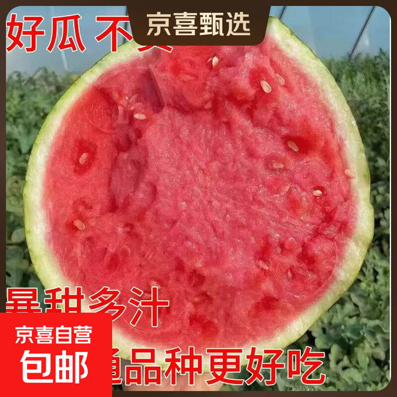 头茬美都西瓜现摘现发新鲜西瓜一整箱5到7斤 11.9元 - 线报酷