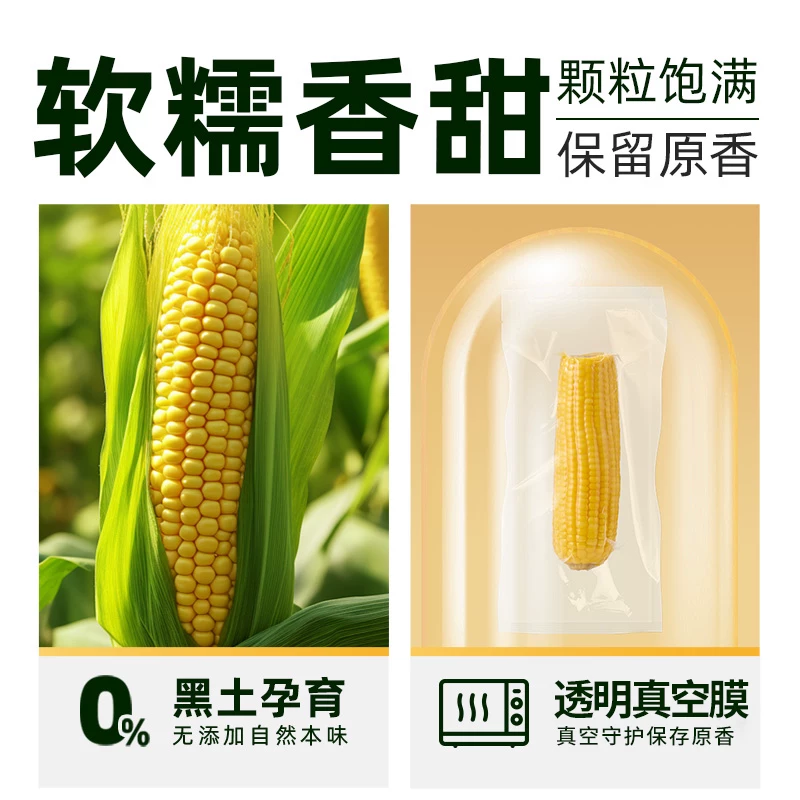 喵满分猫超臻选东北黄糯玉米软糯香甜新鲜玉米真空装 11.92元 - 86线报 喵满分猫超臻选东北黄糯玉米软糯香甜新鲜玉米真空装 11.92元 - 86线报