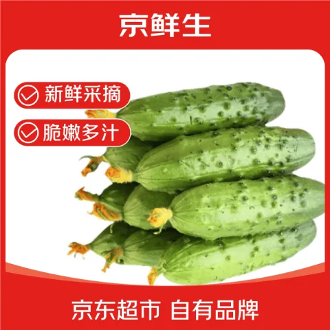 京鲜生 源头直发 水果小青瓜 旱黄瓜 3斤 清甜爽口 8.25元 图片 1