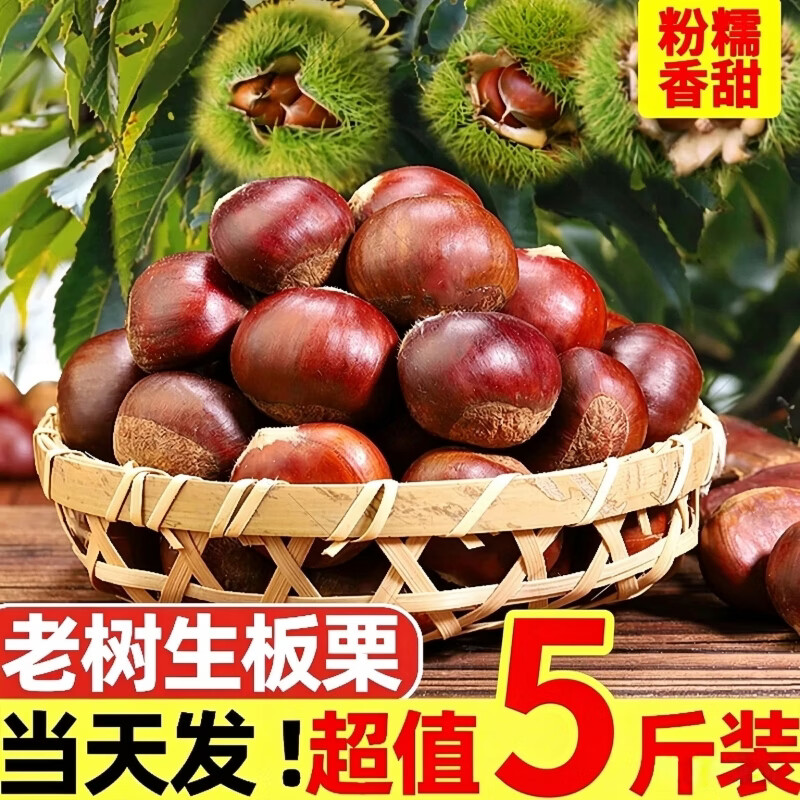 黄六爷丹东板栗32mm+特大果带箱5斤生鲜蔬菜 15.8元 - 线报酷