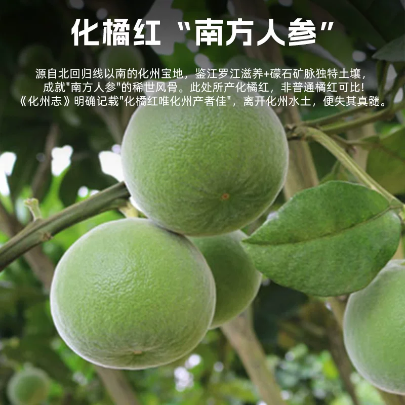 橘农说化橘红清润糖30g盒装 9.9元 - 86线报