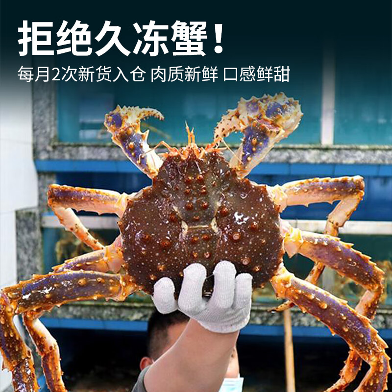 鲟好物俄罗斯帝王蟹冰鲜冷冻3-3.5斤/只 283.96元 - 86线报