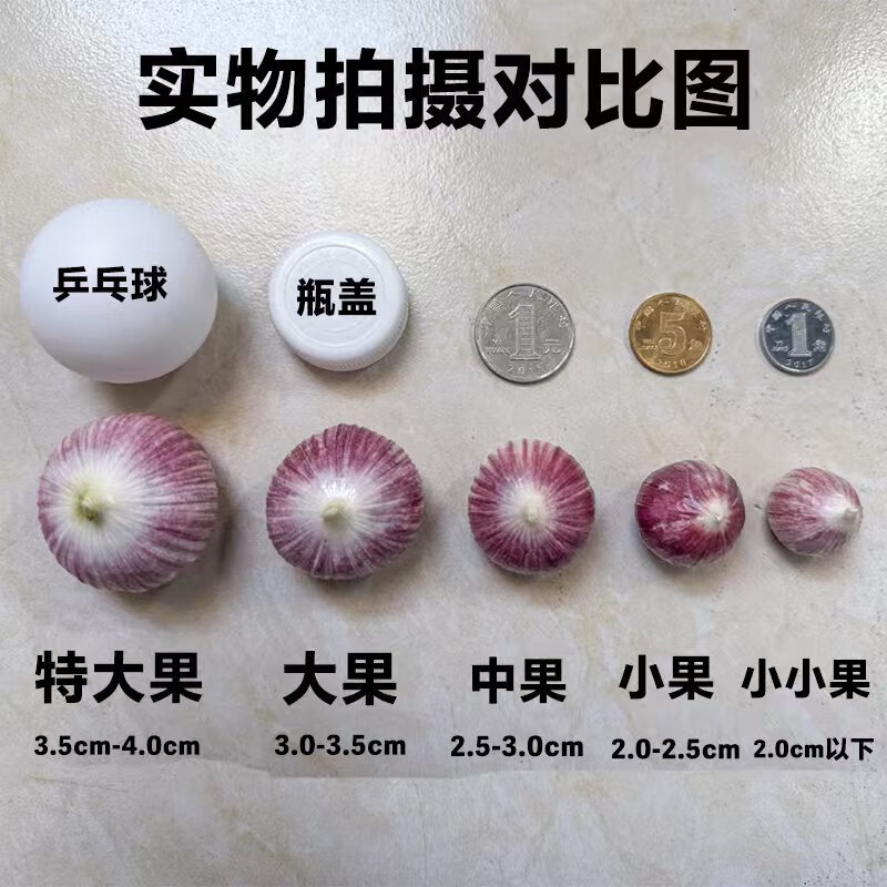 京鲜生云南紫皮蒜独头蒜净重1斤大果3-3.5cm 16.9元 - 86线报
