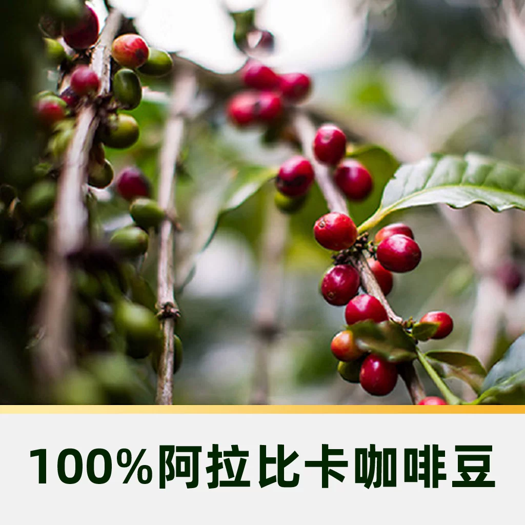 星巴克特调焦糖香草拿铁风味速溶咖啡 51.83元 - 86线报