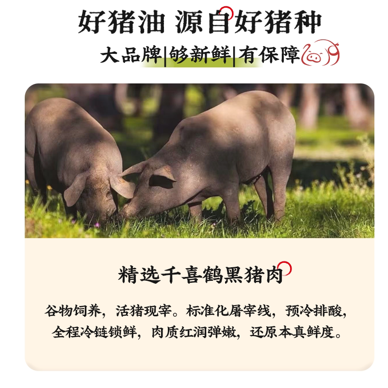 刘敬贤东北黑猪油调味料炒菜家用拌饭拌面烘培起酥油动物油荤板油 23.9元 - 86线报