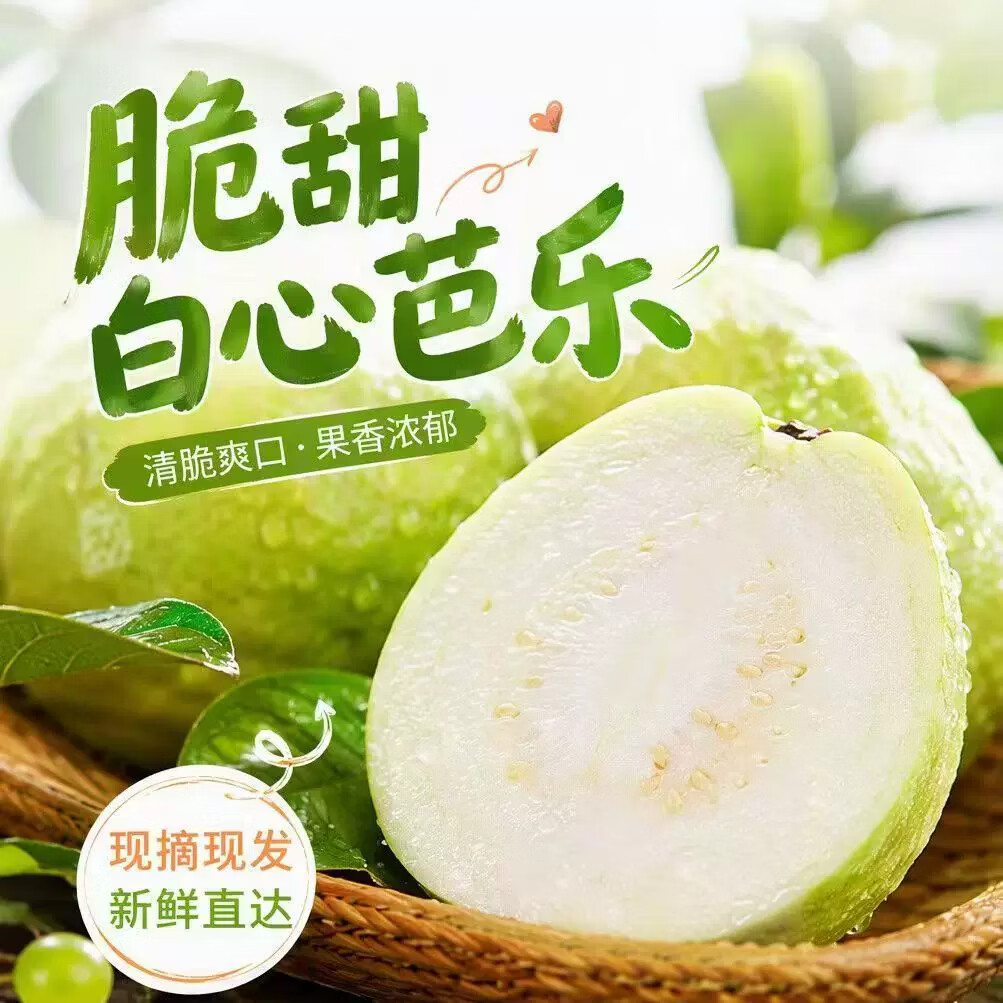 白芭乐单果150克净重4.5斤 19.9元 - 86线报 白芭乐单果150克净重4.5斤 19.9元 - 86线报