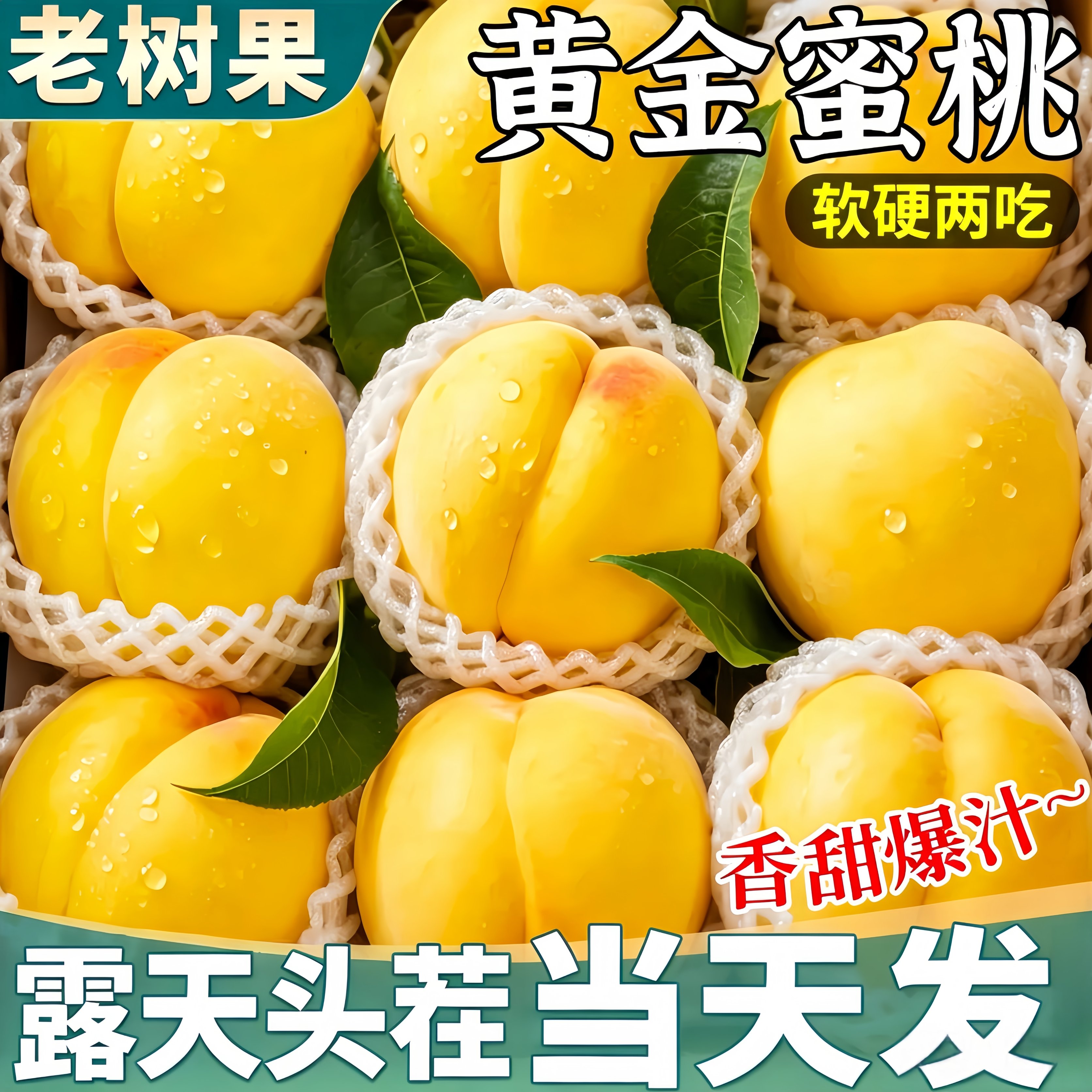 春福乐山东蒙阴黄桃当季现摘5斤优选装 13.8元 - 线报酷