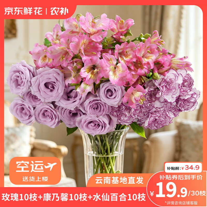 鲜花 玫瑰10枝+康乃馨10枝+六初花10枝 束组合 券后19.9元 - 清风线报