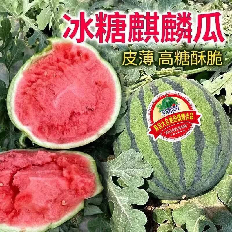 麒麟安徽砀山精品爆汁西瓜一个装5-7斤 11.89元 - 86线报