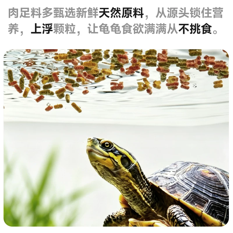 yee善玉菌发色龟粮乌龟饲料增色巴西黄缘草龟剃刀幼龟乌龟通用 12.5元 - 86线报