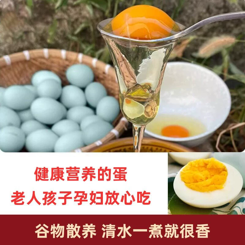 金咕正宗农家乌鸡蛋绿壳乌鸡蛋青皮鸡蛋新鲜土鸡蛋生鲜无抗无激素鸡蛋 40.53元 - 86线报