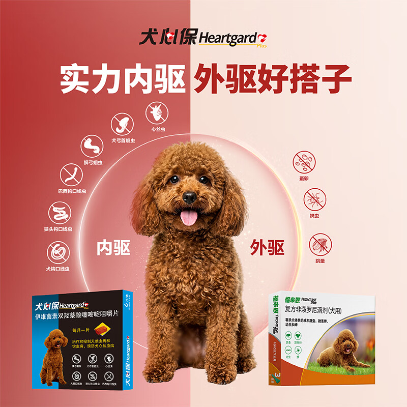 Heartgard 狗狗驱虫 体内驱虫咀嚼片 11kg以下 6片 - 86线报 Heartgard 狗狗驱虫 体内驱虫咀嚼片 11kg以下 6片 - 86线报