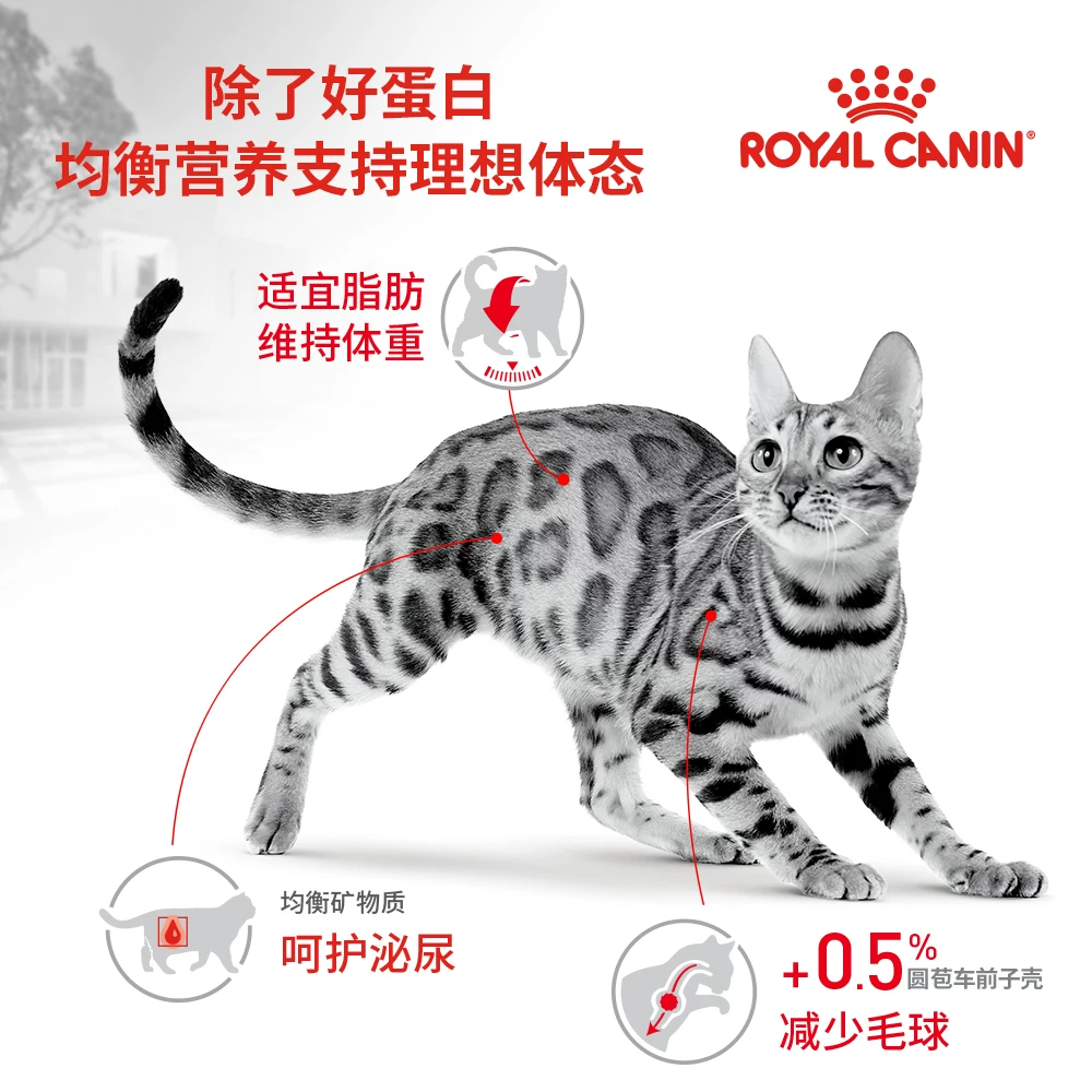 皇家ES35全能优选成猫粮 368元 - 86线报 皇家ES35全能优选成猫粮 368元 - 86线报