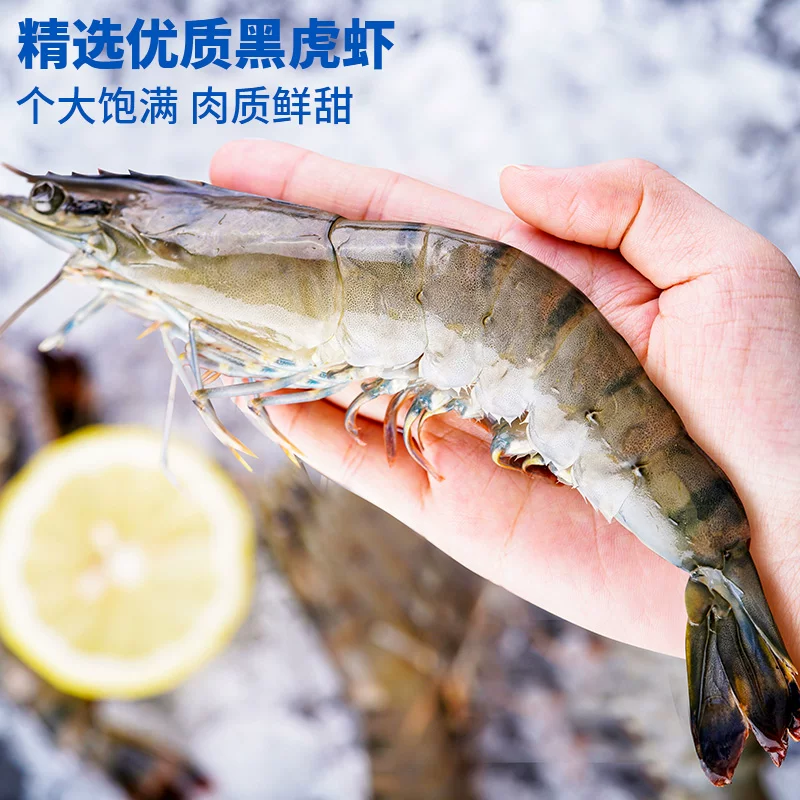 国联特大号黑虎虾500g*2盒20-25只14-16cm 69.9元 - 86线报