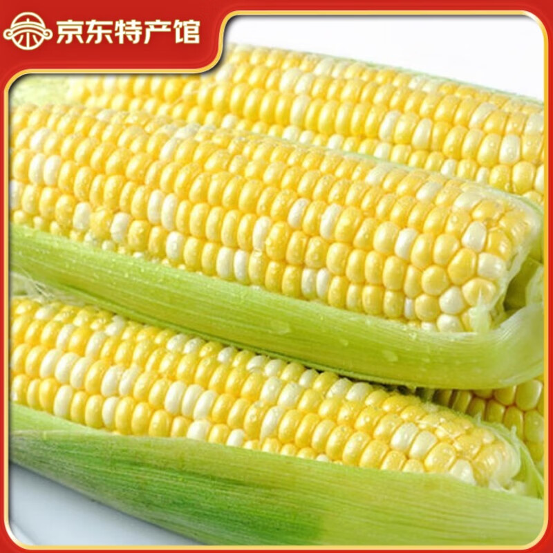 滇味十足 云南金银双色鲜玉米净重2斤 约2-3根 4.8元 - 86线报