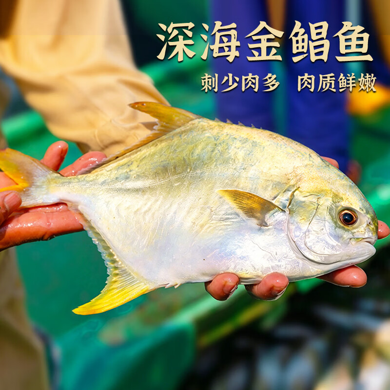 翔泰深海金鲳鱼900g 29.33元 - 86线报 翔泰深海金鲳鱼900g 29.33元 - 86线报