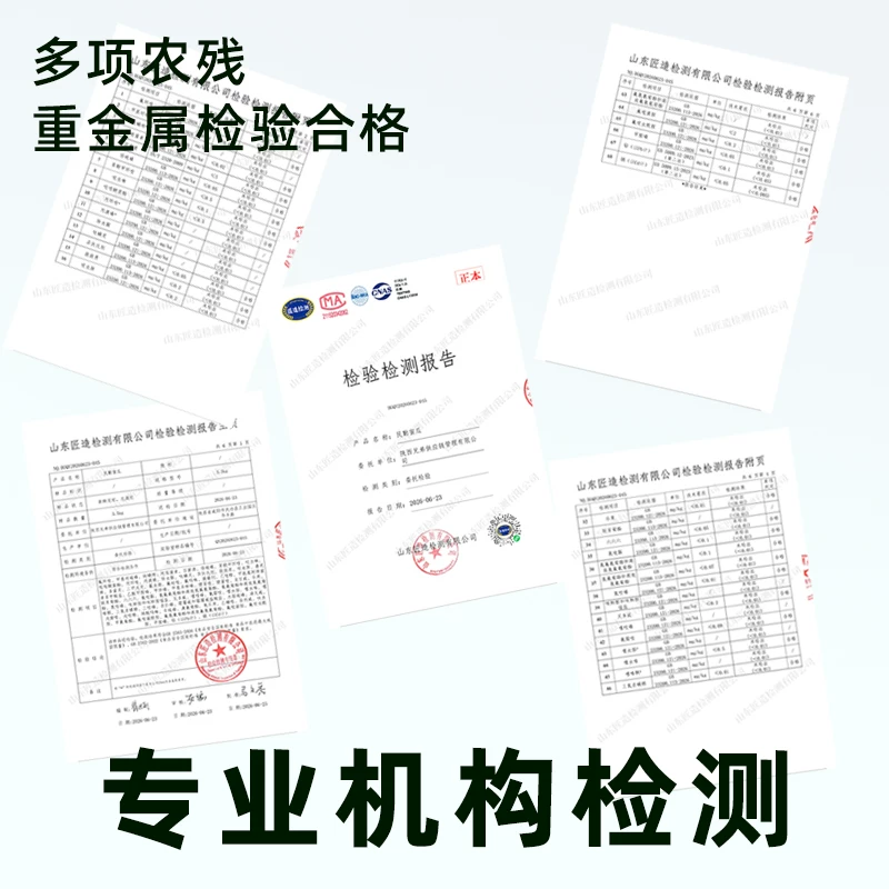 樱洛华甘肃金红宝蜜瓜2-9斤箱装 12.8元 - 86线报