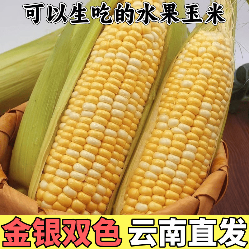 东东买菜云南金银水果玉米9斤约11-16棒 14.9元 - 86线报