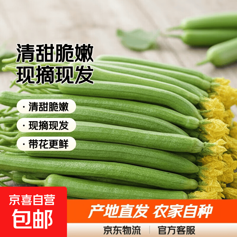 寿光嫩丝瓜新鲜水嫩长丝瓜翠玉王丝瓜2斤装净重1.8斤 1.99元 - 86线报