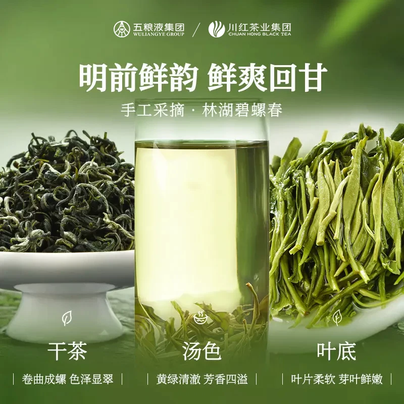 川红鲜嫩碧螺春茶叶礼盒装120g赠茶水分离杯1个 40.81元 - 线报酷