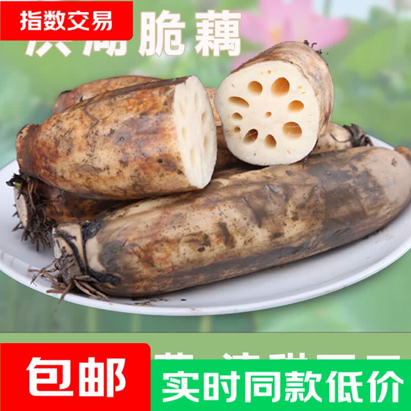 洪湖莲藕脆藕1斤含箱 1.99元 - 86线报