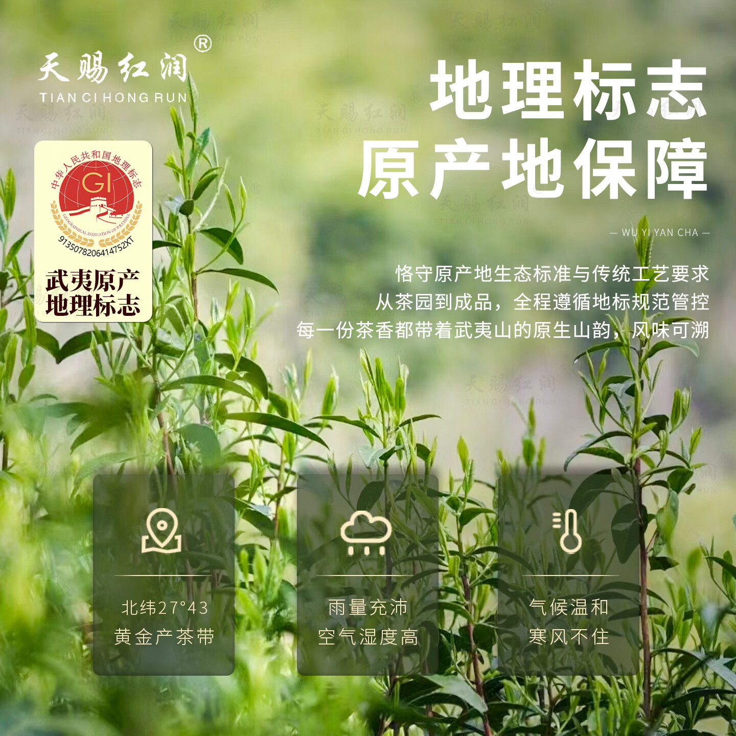 天赐红润武夷岩茶燕子窠特级肉桂166g 29.6元 - 86线报 天赐红润武夷岩茶燕子窠特级肉桂166g 29.6元 - 86线报