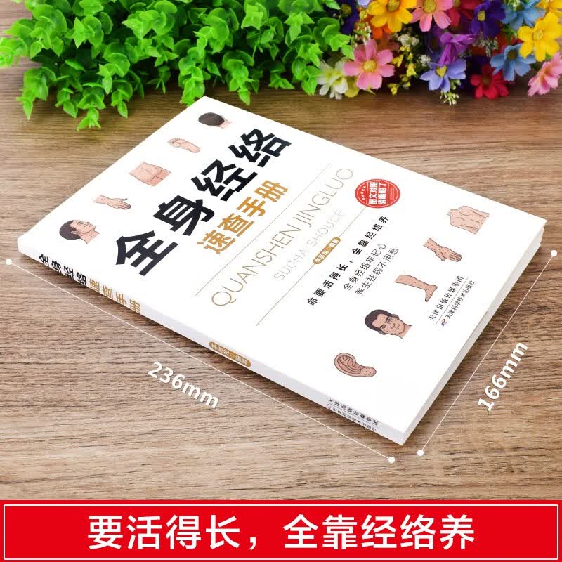 全身经络速查手册经典彩图版 1.46元 - 86线报