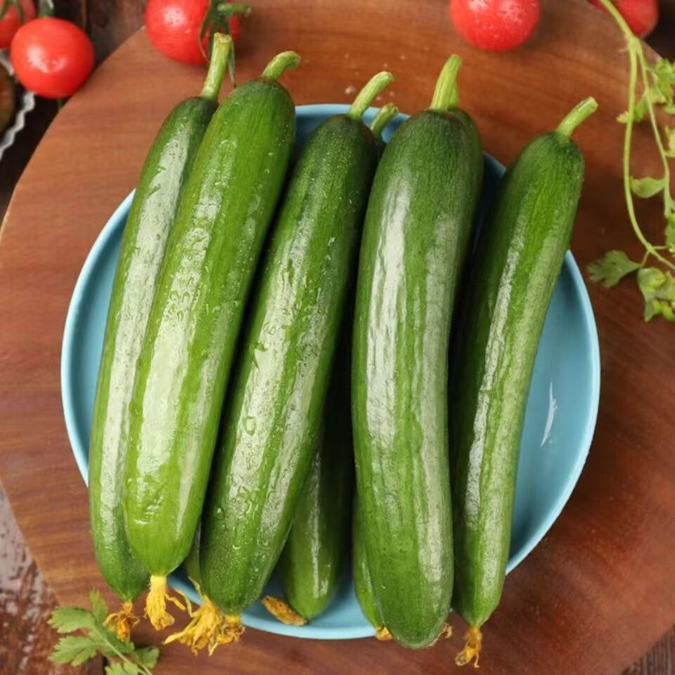 亨泰丰源水果小黄瓜山东旱地脆嫩5斤 12.99元 - 86线报
