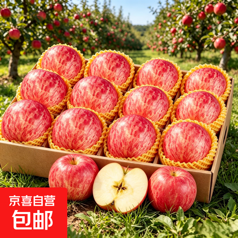 山东红富士苹果10斤装中果75mm+净重8.5斤 18.9元 - 美泡泡