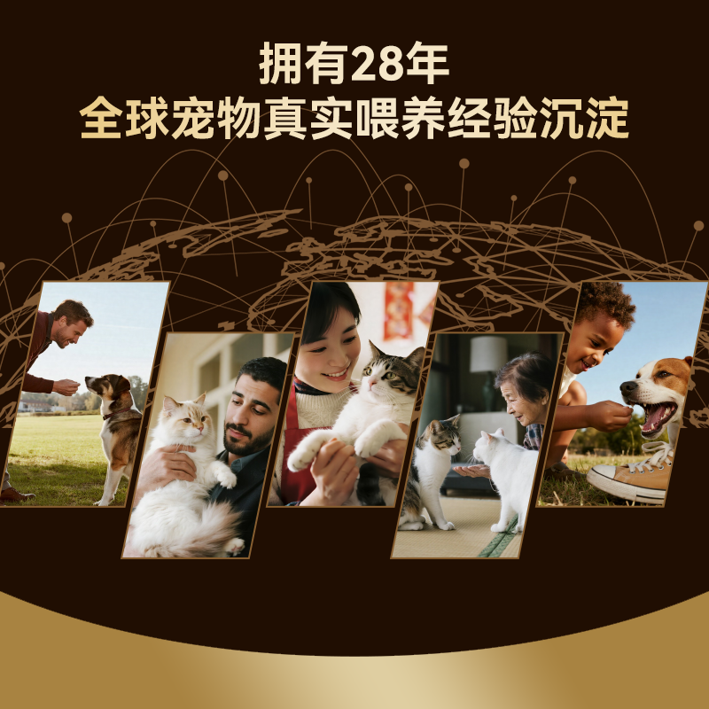 顽皮护肠去毛球猫罐头 39.9元 - 86线报