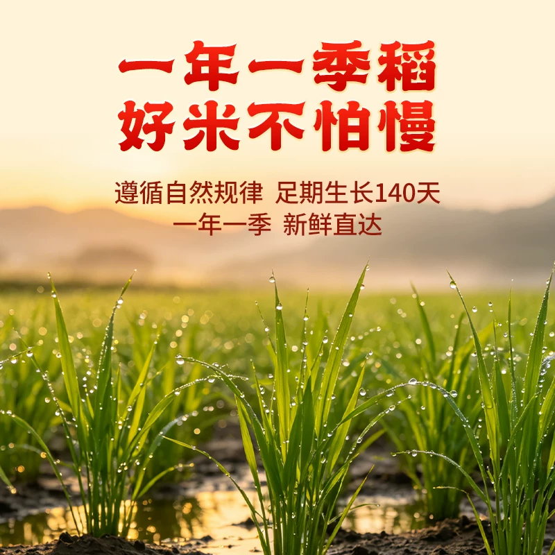 太粮五常大米5kg东北米正宗长粒香米 44.9元 - 86线报