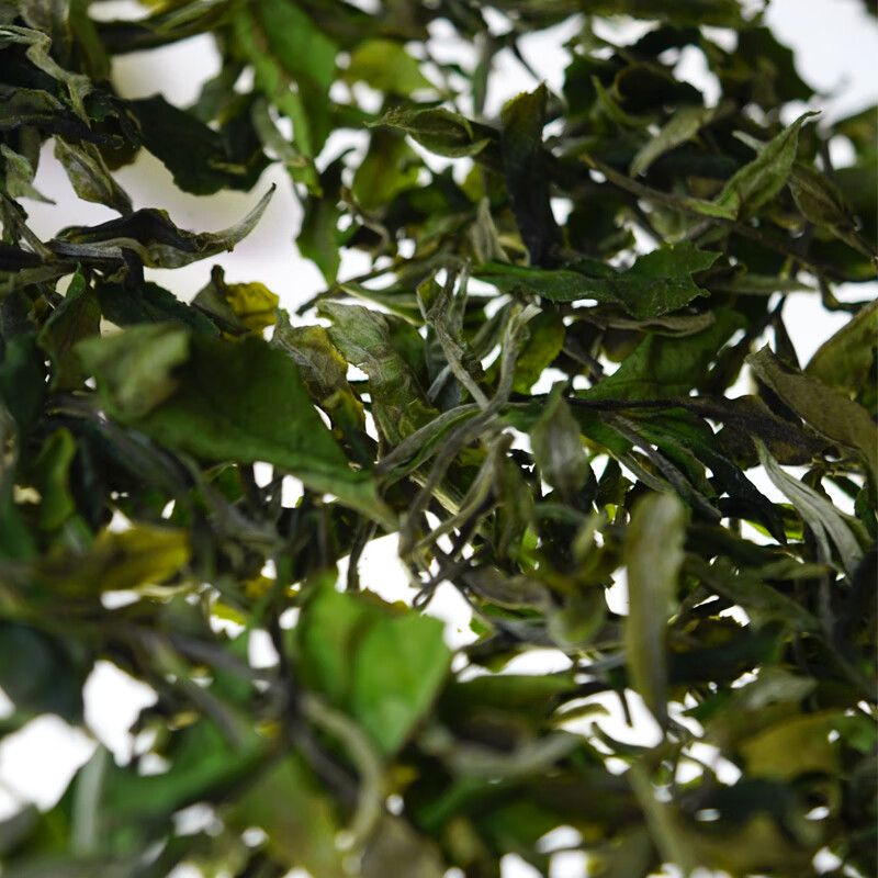 言印茶叶冰岛白茶春茶散茶礼盒装1箱 123元 - 86线报