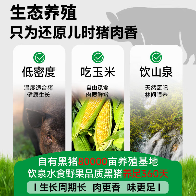 雏牧香生态黑猪肉黑猪脊骨2斤 19.9元 - 86线报