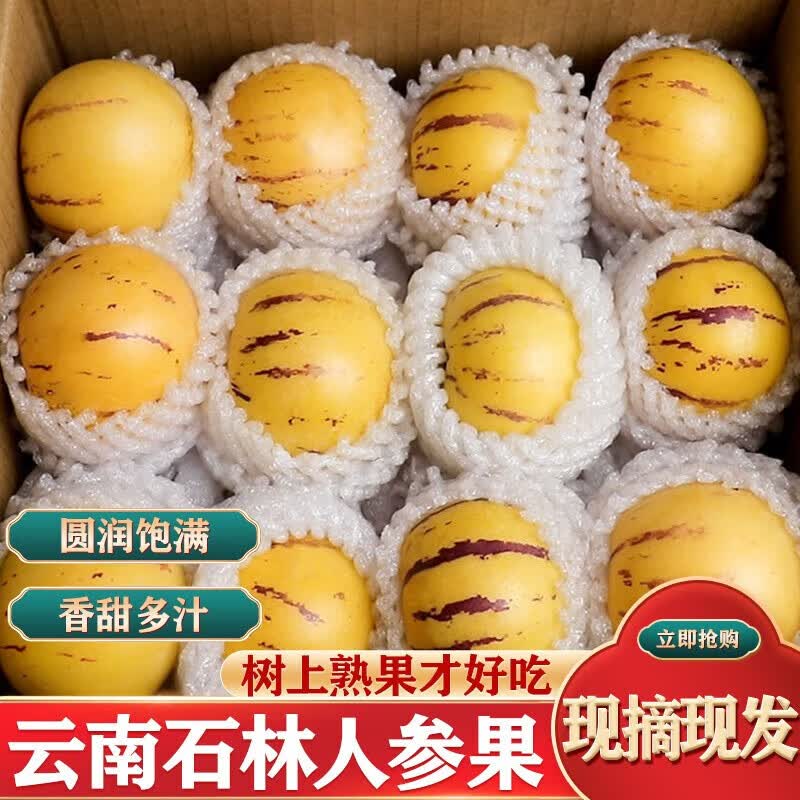 云南石林人参果特大果净重4.5斤单果110克+ 24.8元 - 86线报 云南石林人参果特大果净重4.5斤单果110克+ 24.8元 - 86线报