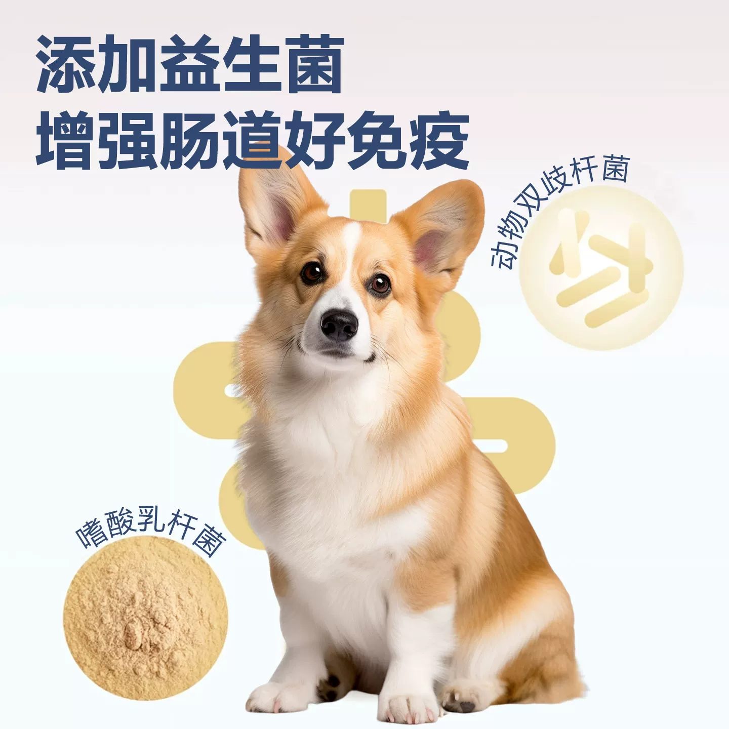 美督全犬期优质蛋白狗粮40g 0.69元 - 86线报