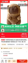 卡皮巴拉毛绒公仔 儿童生日礼物 女孩情人节礼物 水豚玩偶 1个装 4.79元 图片 2