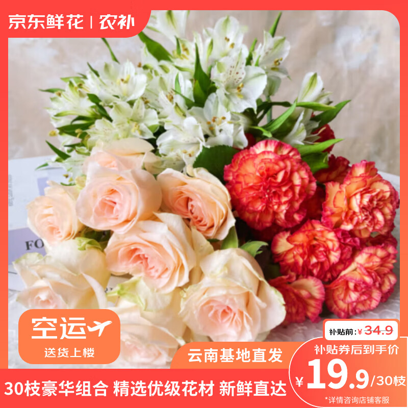 鲜花 玫瑰10枝+康乃馨10枝+六初花10枝 束组合 券后19.9元 - 清风线报